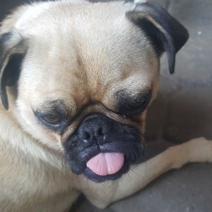 Meet your Posher, Karina